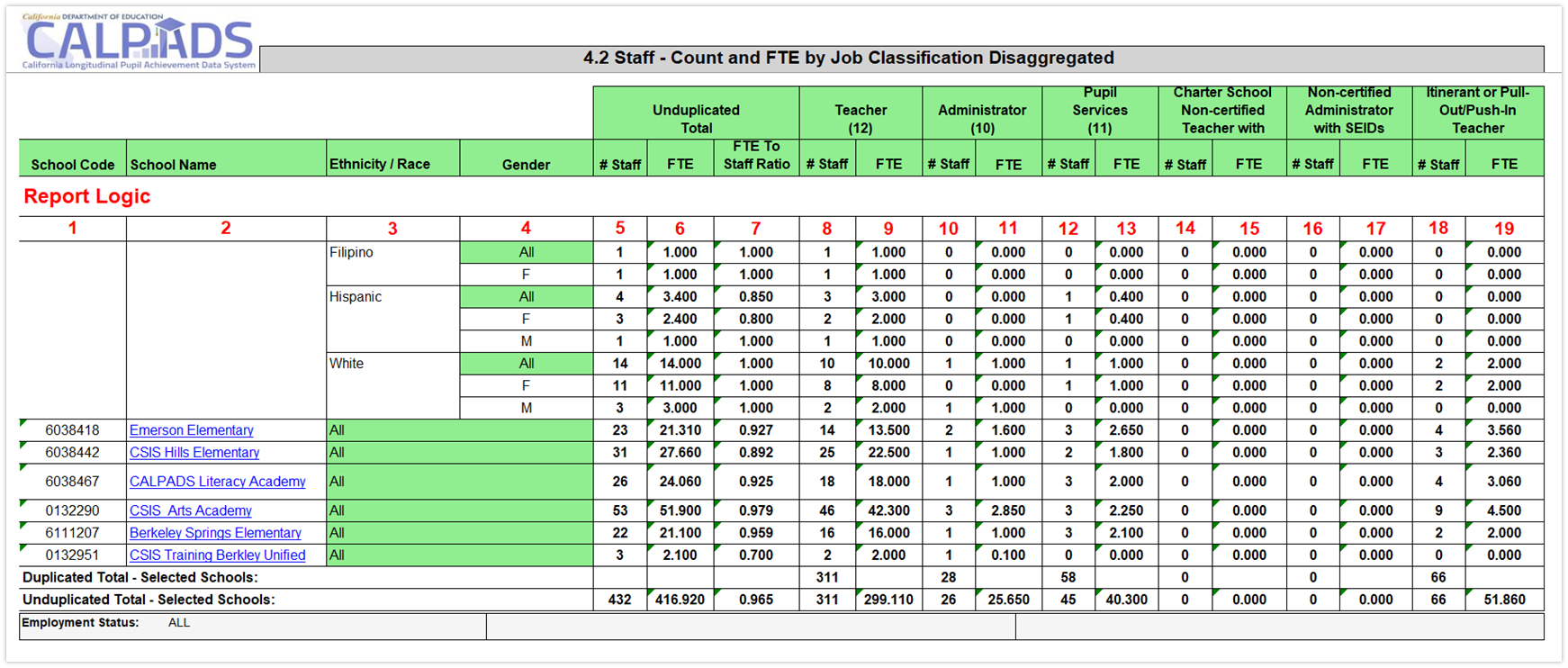 Report 4.2:  Staff - Count and FTE by Job Classification Disaggregated